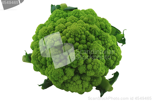 Image of Head Green Cauliflower. 