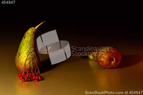 Image of Two pears and the ashberry twig