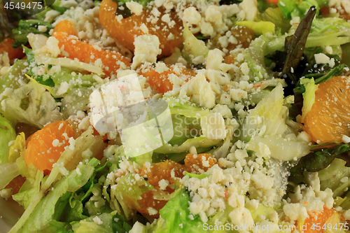 Image of Close-up view of Salad Lettuce, Mandarin Oranges, Feta Cheese 