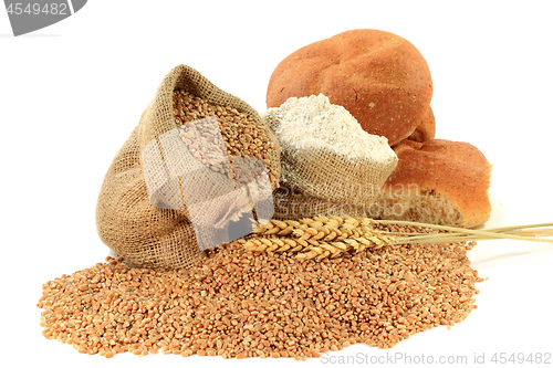 Image of Raw Wheat Kernels, Flour, Wheatears and Whole Wheat Buns in Burlap Bags on White. 