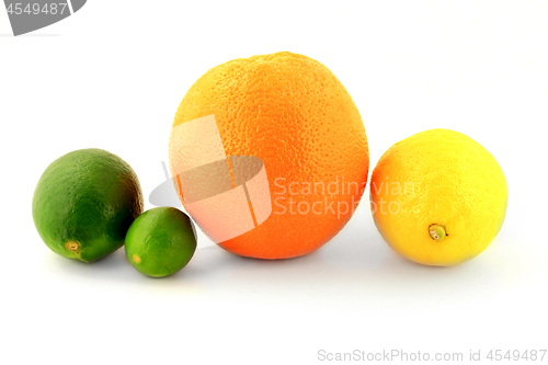 Image of Group Organic Citrus Fruits - Lemon, Orange, Lime and Key Lime,  