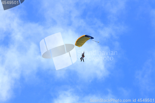 Image of Skydiver parachuting down to the Earth. 