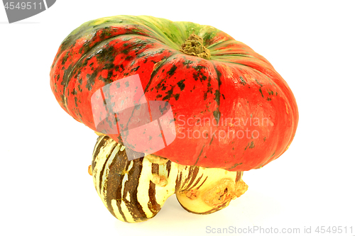 Image of Turban Squash 