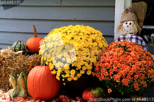 Image of Thanksgiving Decoration 