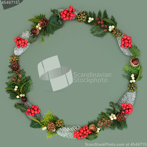 Image of Natural Winter Wreath