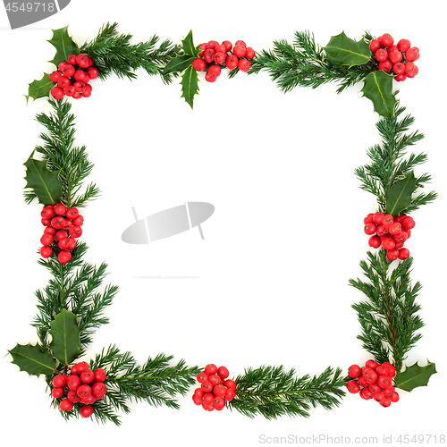 Image of Holly and Juniper Wreath