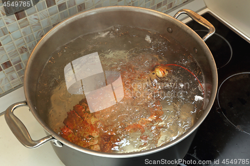 Image of Cooking Lobster