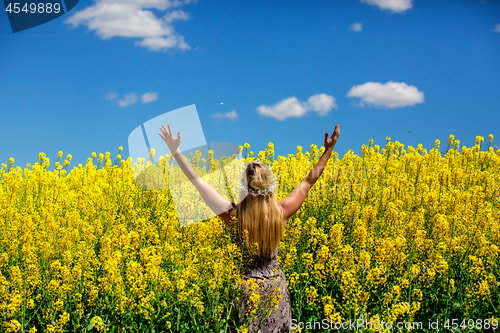 Image of Woman in a field of golden yellow flowers Canola