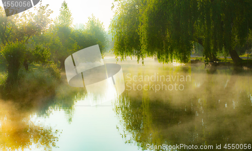 Image of Mist on the river in the marshes of Bourges city