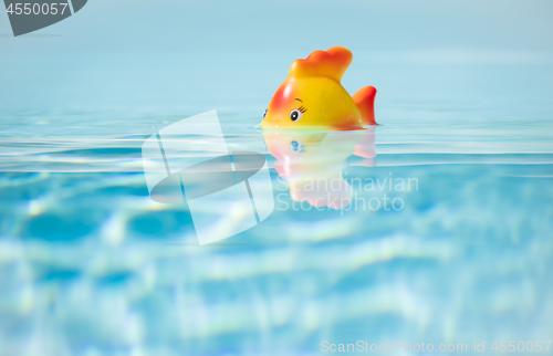 Image of Red toy Fish in swimming pool