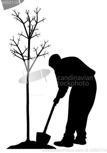 Image of Young man planting a tree