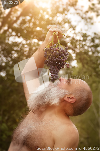 Image of Bacchus eating grapes outdoors