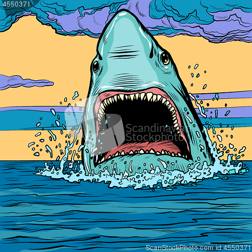 Image of Dangerous aggressive shark in the ocean