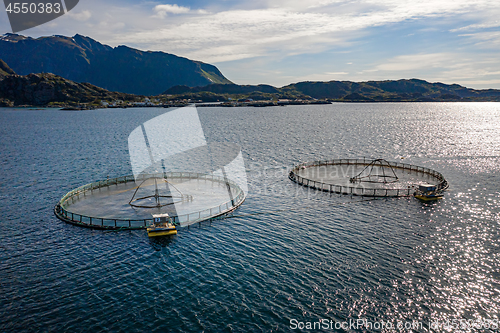 Image of Farm salmon fishing in Norway