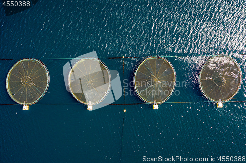 Image of Farm salmon fishing in Norway