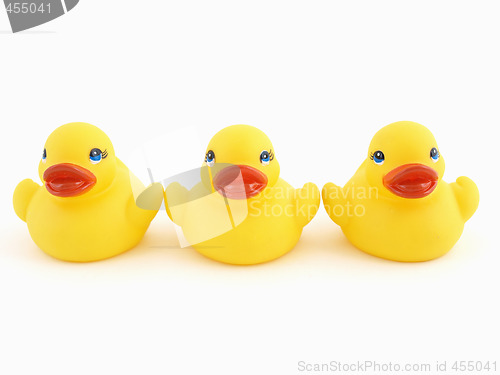 Image of Trio of Ducks