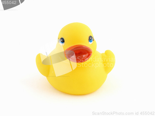 Image of Isolated Rubber Duck