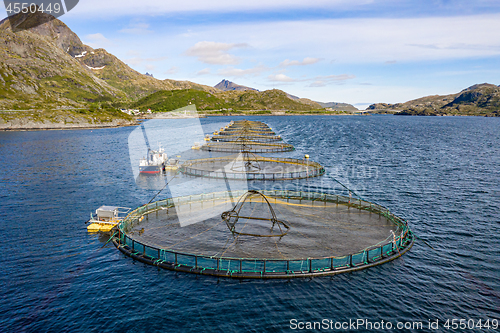 Image of Farm salmon fishing in Norway