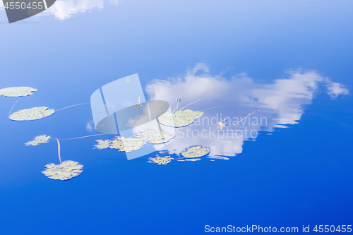 Image of Reflection of the Blue Sky on the Water Surface of the Pond