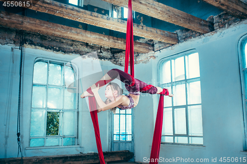 Image of Graceful gymnast performing aerial exercise