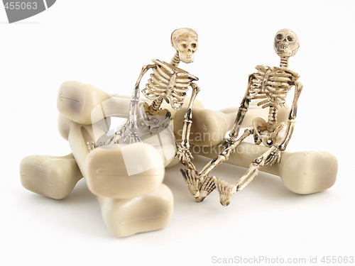 Image of Mr and Mrs Bones