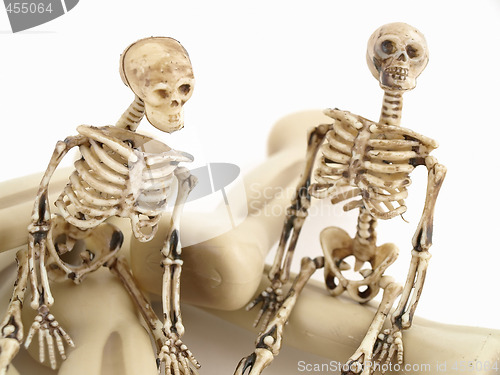 Image of The Bone Brothers