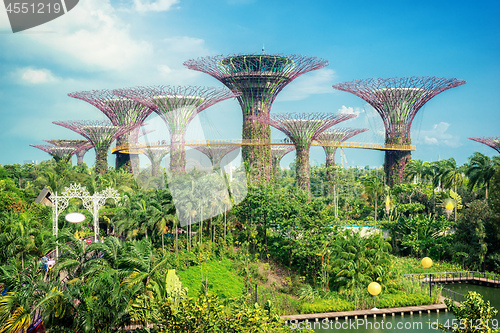 Image of Garden Marina Bay Sands Singapore