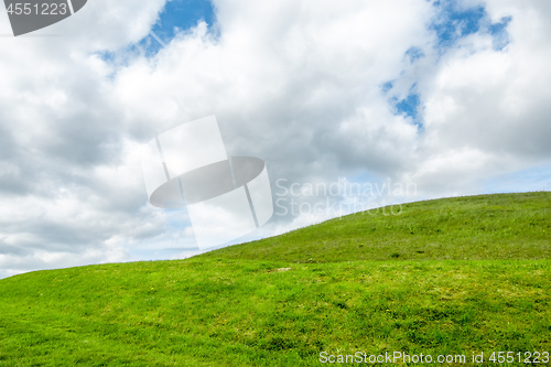 Image of green grass meadow background in Ireland