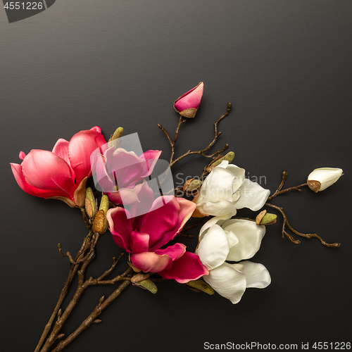 Image of some magnolia flowers on a black background