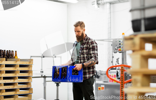 Image of man with bottles in box at craft beer brewery