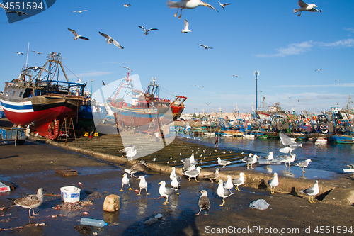 Image of Flocks of seagulls flying over Essaouira fishing harbor, Morocco. Fishing boat docked at the Essaouira port waits for a full repair with a boat hook in the foreground