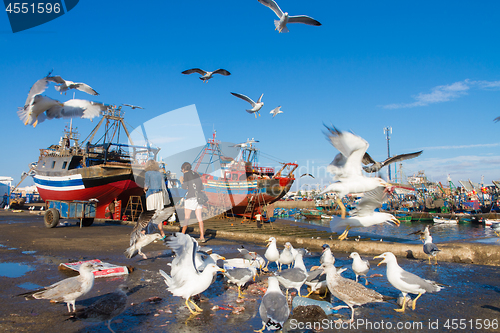 Image of Flocks of seagulls flying over Essaouira fishing harbor, Morocco. Fishing boat docked at the Essaouira port waits for a full repair with a boat hook in the foreground