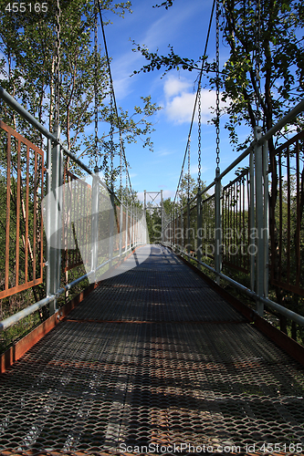 Image of Bridge in nature