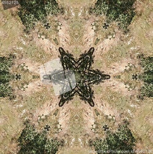 Image of Abstract kaleidoscope picture