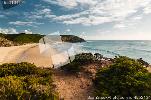 Image of Beautiful beach