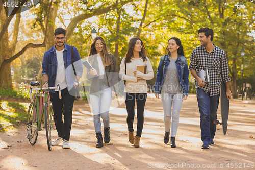 Image of Students in the park