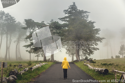 Image of Walking on a foggy road