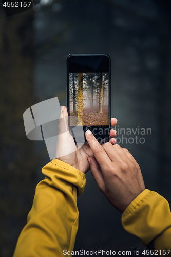 Image of Taking a picture to a forest