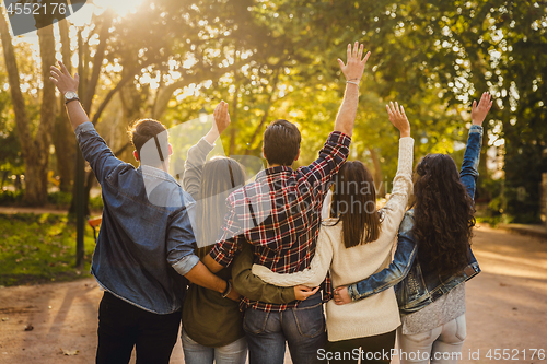 Image of Group of friends in the park