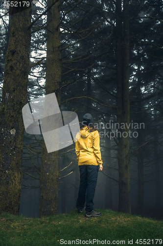 Image of Traveler looking to a forest