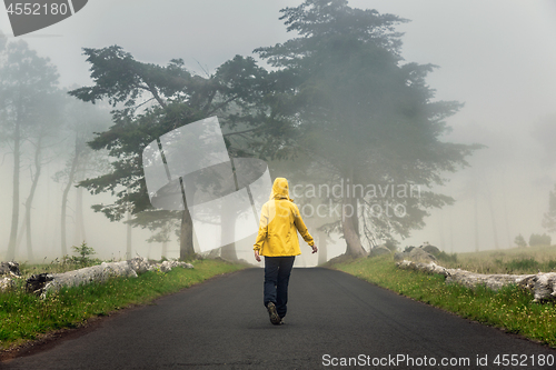 Image of Walking on a foggy road