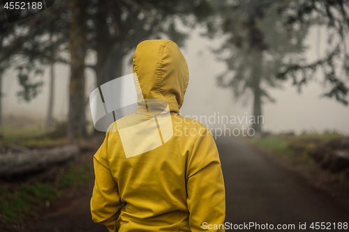 Image of Traveler looking to a forest