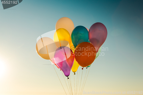 Image of Balloons flywing