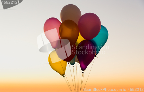 Image of Balloons flywing