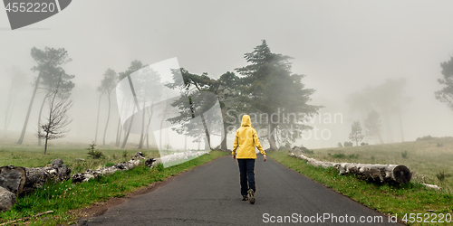 Image of Walking on a foggy road
