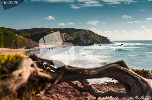 Image of Beautiful beach