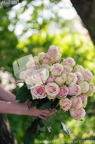 Image of Female hands holding beauty bouquet of red roses