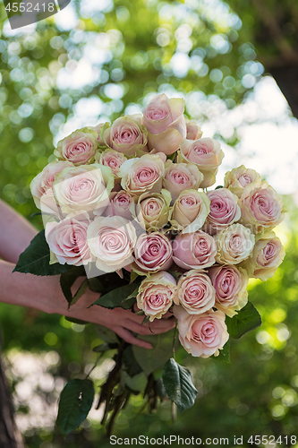Image of Female hands holding beauty bouquet of red roses
