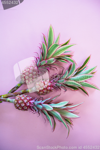 Image of ineappless flowers on pinlk