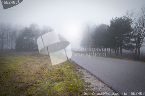 Image of Foggy Forrest